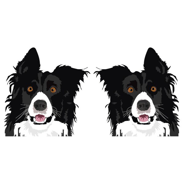 Border Collie Dog Decal, Dog Lover Decor Vinyl Sticker